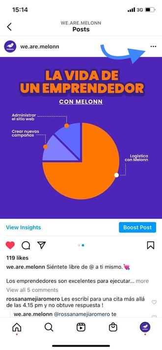 Instagram seo: Perfil Melonn alt text existente paso 1